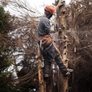 2 Rivers Tree & Hardscapes - Landscape Designers & Consultants