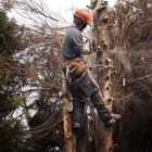 2 Rivers Tree & Hardscapes