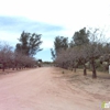 Arizona Pistachio Nursery gallery