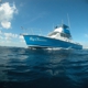 Deep Obsession Charters