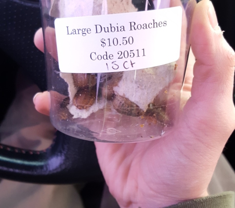 Feeders Pet Supply - New Albany, IN. Roaches bought from feeders supply