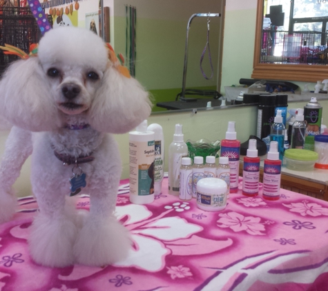 Pupazzo Dog Grooming & Pet supplies Xpress - Long Beach, CA