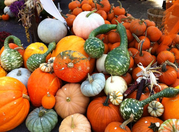 Ciesluk Farmstand - Deerfield, MA