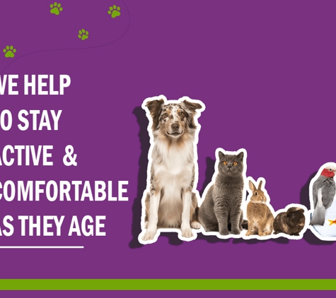 Redlynch Valley Vets - Redlynch, QLD. We Help To Stay Active & Comfortable As They Age
