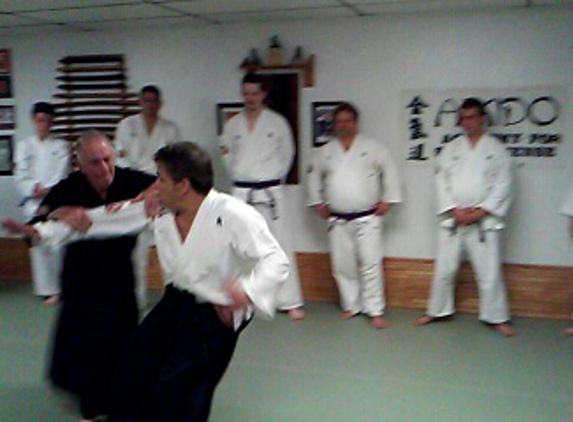 Aikido Academy Of Martial Aarts - New Port Richey, FL