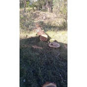 Gallery Image Number 8