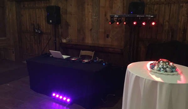 Saline DJ Service - Milan, MI