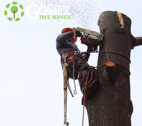 Gomez Tree Service - Houston, TX