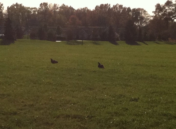 Miami Meadows Park - Milford, OH