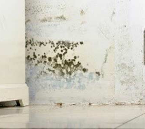 Melbourne Rising Damp - South Yarra, VIC