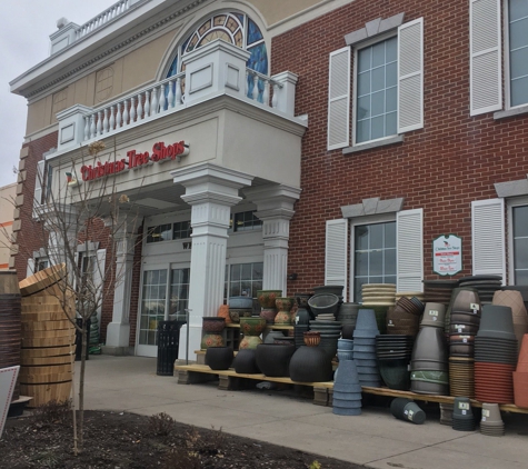 Christmas Tree Shops - Rochester, NY