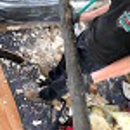 Turbo Plumbing and Rooter - Plumbers