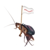 Scott's Termite & Pest Control gallery