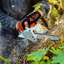 C & J Bros Landscaping - Tree Service