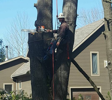 Arborcare - Harrisville, NY