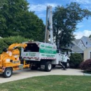 Top Climber Tree Service Corp - Tree Service