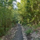 Maui Handi Transport - Sightseeing Tours