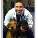 Taylor Brook Animal Hospital - Veterinary Specialty Services