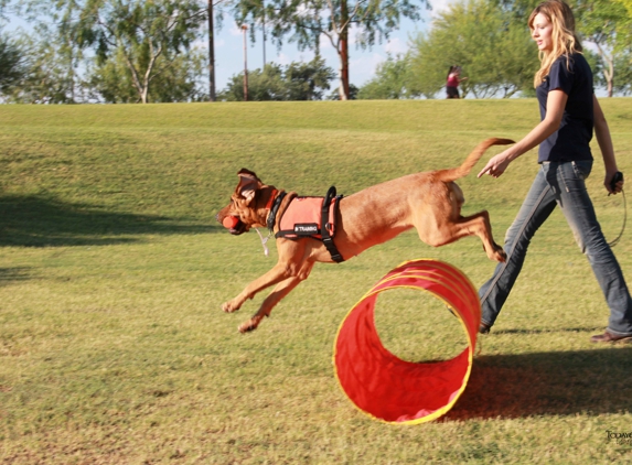 Dog Training Elite Salt Lake City - Salt Lake City, UT