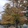 Mount Holly Cemetery Company gallery