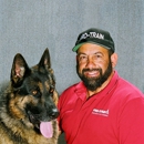 Pro-Train - Service Dog Training - Dog Training