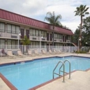 Knights Inn Palm Harbor - Hotels