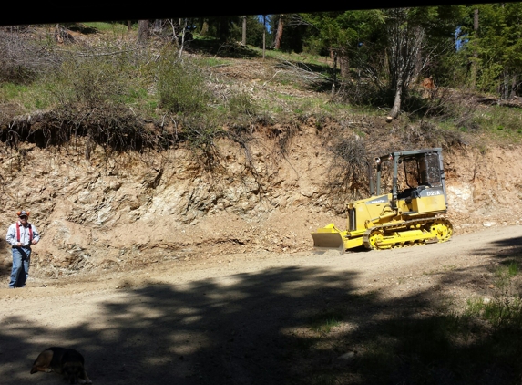 IRON PAWS BULLDOZING - Cle Elum, WA. Driveway clean up