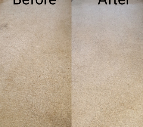 Rise and Shine Janitorial Carpet Cleaning and Flooring - Hermitage, TN