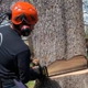 Gardner Tree Service