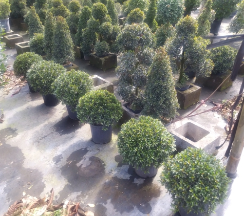 South Florida Landscaping Services, Inc. - Homestead, FL. Landscaping selections in Homestead