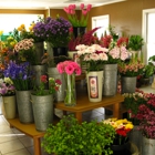 The Flower Cupboard