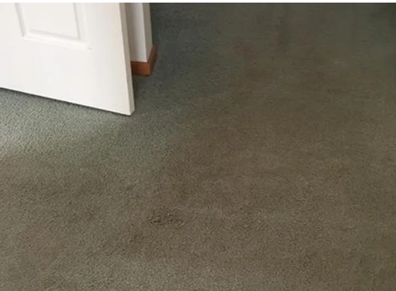 Cavanagh Carpet Cleaning