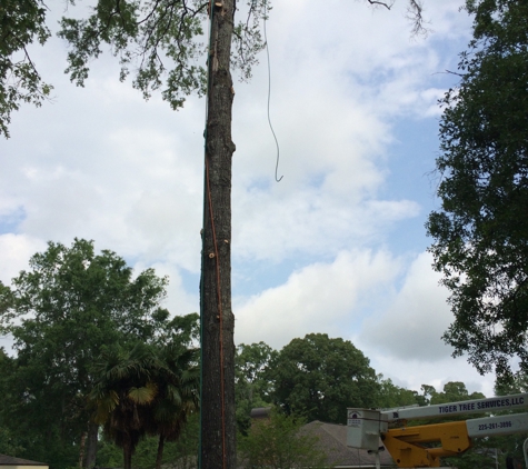 Tiger Tree Services,LLC. - Greenwell Springs, LA