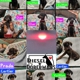 Diesel Dobermans