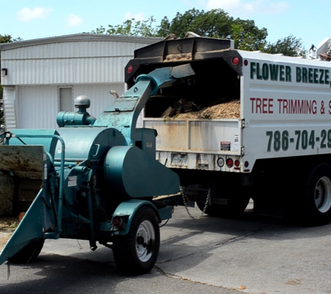 Jardineria con Flower Breeze Corp. - Miami, FL