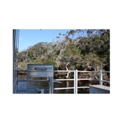 Gallery Image Number 7