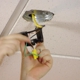 Handyman Hogan