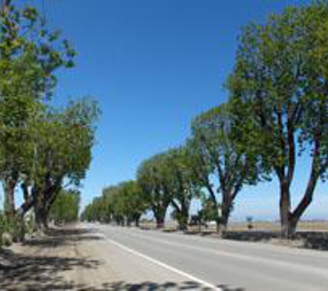 Urban Lumberjacks - Salinas, CA