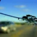 Call Now Windshields - Windshield Repair