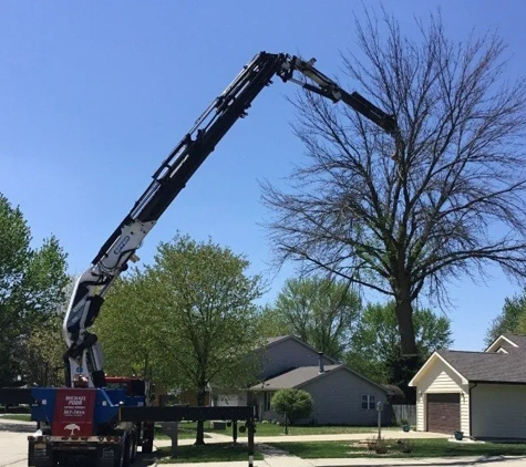 Poor Michael   Certified   Arborist - Urbana, IL