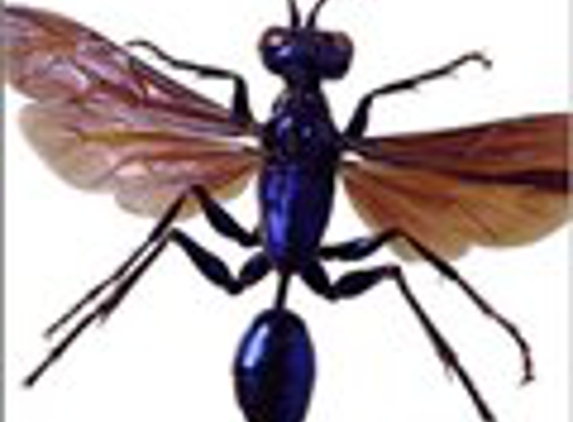 Hug-A-Bug Pest Control & Termite - Virginia Beach, VA