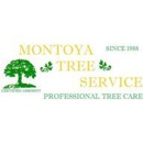 Montoya Tree Service - Snow Removal Service