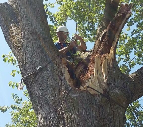 C&H Tree Removal LLC - Macon, MO