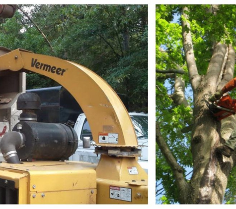 Bronx Tree Pro - Tree Removal, Cutting & Trimming Service - Bronx, NY