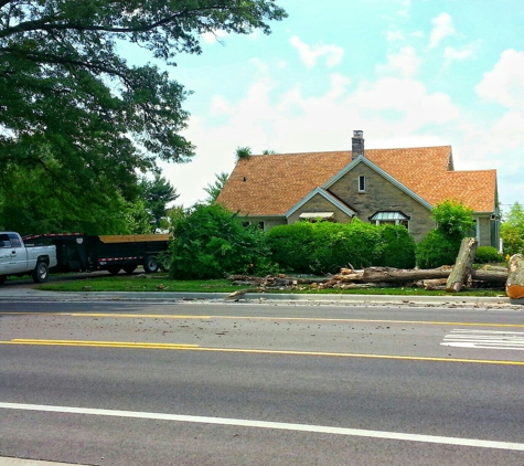 AMER TREE XPERTS  & LNDSCPNG - Evansville, IN. Removing dead pink oak, the aftermath