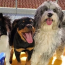 Top Notch Kennels - Pet Boarding & Kennels