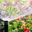 Raintree Sprinkler Systems - Sprinklers-Garden & Lawn