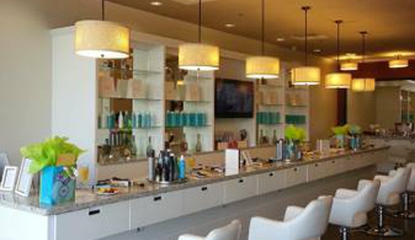 Drystyle Blow Dry Bar and Salon - Katy, TX