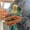 Bear Creek Animal Hospital gallery