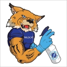 Wildcat Clean Team